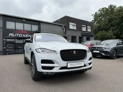 Gebraucht Jaguar F-Pace 250 PS (183 kW) 2019 Weiß SUV