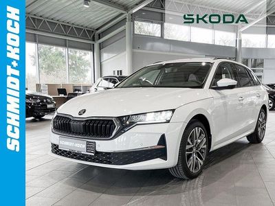 Moonweiß perleffekt Gebraucht 2024 Skoda Octavia Selection Kombi | 33.990 € (Etwas zu teuer)