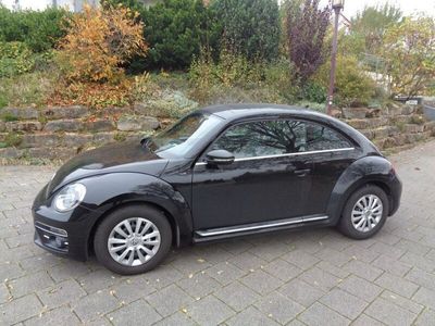 VW Beetle