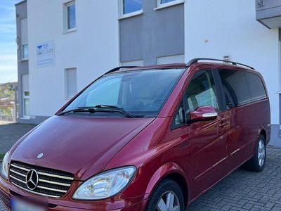 Mercedes Viano