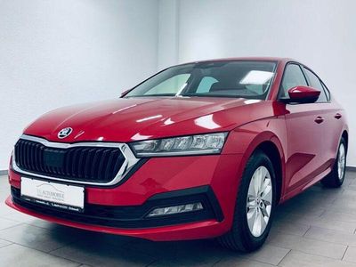 Usata Skoda Octavia G-TEC Ambition 131 CV (96 kW) 2021 Rosso Berlina