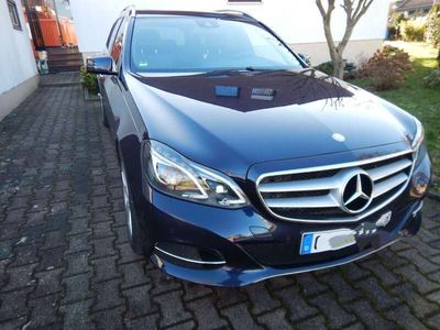 gebraucht Mercedes E300 E300 T BlueTEC 7G-TRONIC Avantgarde