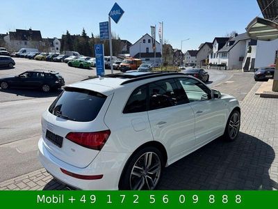 Gebraucht Audi SQ5 Sport 313 PS (230 kW) 2014 Weiß SUV