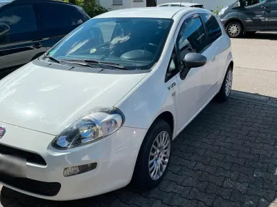 Gebraucht Fiat Punto Young 77 PS (56 kW) 2015 Weiß Kleinwagen