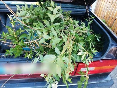 Gebraucht Volvo 740 155 PS (114 kW) 1991 Rot Limousine