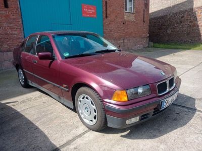 gebraucht BMW 316 i *** TÜV NEU *** WENIG KM