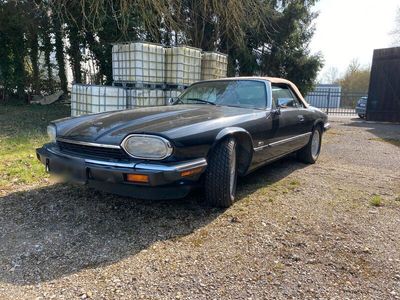 gebraucht Jaguar XJS Cabrio 4.0 evtl. Inzahlung. Bitte lesen.