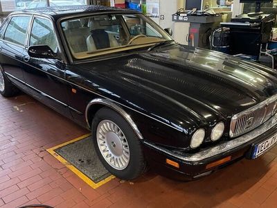 gebraucht Jaguar XJ12 gepflegt