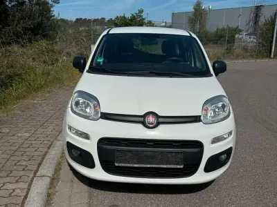 Usata Fiat Panda 70 CV (51 kW) 2017 Bianco Utilitaria