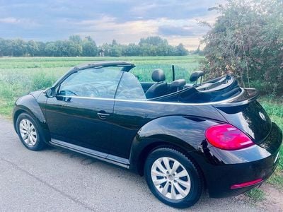 VW Beetle
