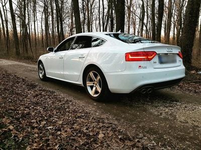 Gebraucht Audi A5 Sportback S-Line 150 PS (110 kW) 2015 Weiß Kleinwagen