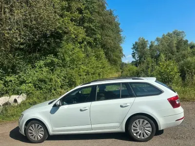 Gebraucht Skoda Octavia Ambition 110 PS (80 kW) 2017 Weiß Kombi