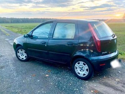 Gebraucht Fiat Punto 60 PS (44 kW) 2006 Schwarz Kleinwagen