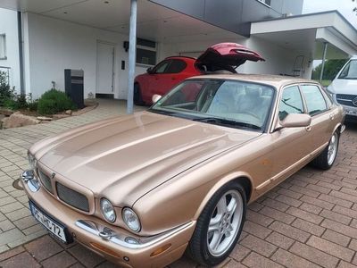 Jaguar XJR