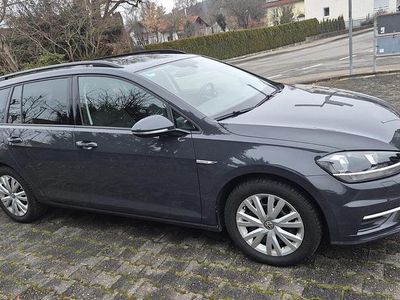 Grau Gebraucht 2019 VW Golf VII Kombi | 15.450 € (Fairer Preis)