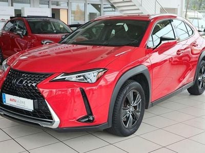 Gebraucht Lexus UX 250h 178 PS (130 kW) 2019 Rot SUV