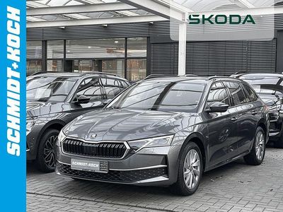 Grau Gebraucht 2025 Skoda Octavia Selection Kombi | 33.991 € (Etwas zu teuer)