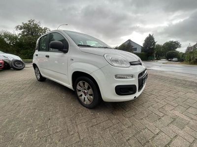 gebraucht Fiat Panda Pop / TÜV / Niedrige km/h