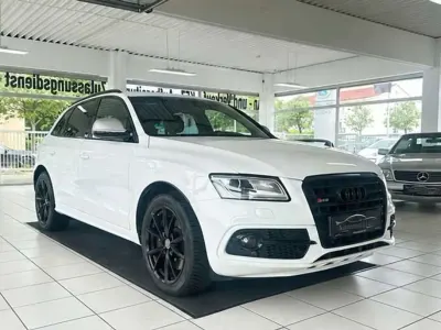 Gebraucht Audi SQ5 Advanced 313 PS (230 kW) 2015 Ibisweiß SUV