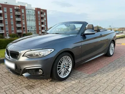Gebraucht BMW 220 M Sport 190 PS (139 kW) 2015 Grau Cabrio