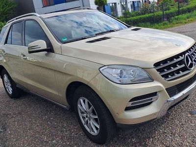 Mercedes ML250