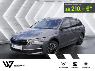 Neu Skoda Octavia 150 PS (110 kW) 2026 Grau Kombi