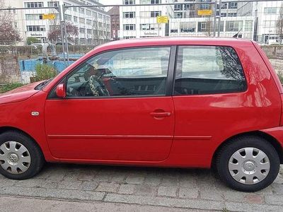 Usata VW Lupo 50 CV (36 kW) 2003 Utilitaria