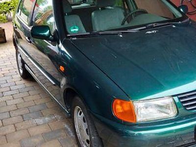 VW Polo