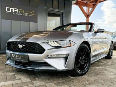 gebraucht Ford Mustang GT Shelby 500 Sport Cabrio Premium