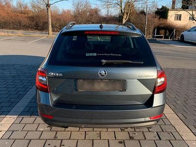 Grau Gebraucht 2017 Skoda Octavia Drive Kombi | 13.999 € (Etwas zu teuer)