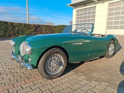 Gebraucht Austin Healey 100 91 PS (66 kW) 1954 Grün Cabrio