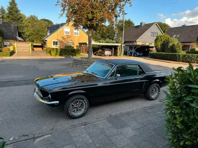Begagnad Ford V8 300 HK (220 kW) 1968 Brun