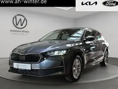 Usata Skoda Octavia Selection 150 CV (110 kW) 2024 Grigio Station wagon