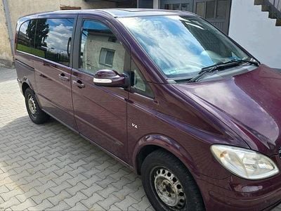 Mercedes Viano