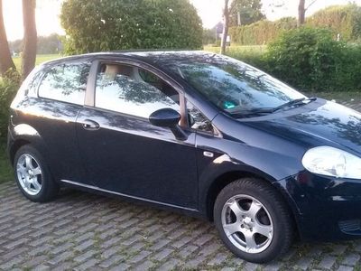 gebraucht Fiat Punto 