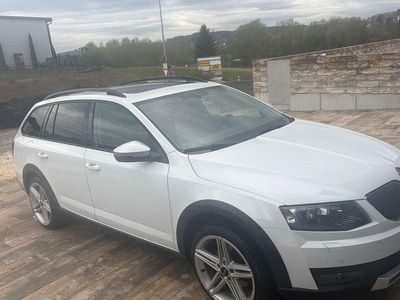 Usado Skoda Octavia Scout 4x4 184 HP (135 kW) 2016 Branco Citadino