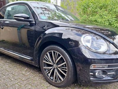 VW Beetle