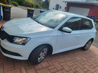 gebraucht Skoda Fabia 1.0l MPI 44kW Cool Edition Cool Edition