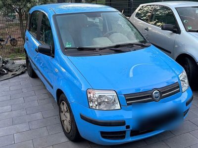 gebraucht Fiat Panda 1.3 Blue Edizione