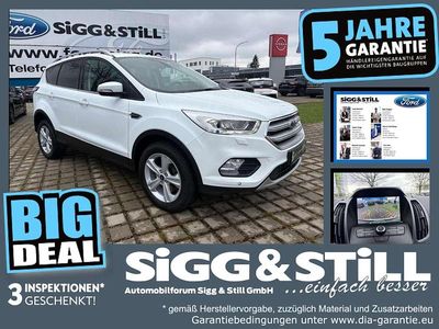 Usata Ford Kuga Cool & Connect 175 CV (128 kW) 2019 Bianco SUV
