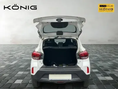 Gebraucht Dacia Spring Business 33 kW (45 PS) 2021 Weiß Kleinwagen