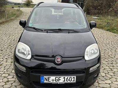 Schwarz Gebraucht 2011 Fiat Panda Active Kombi | 5.000 € (Teuer)