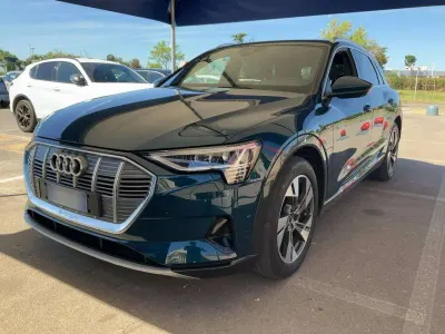 Gebraucht Audi e-tron