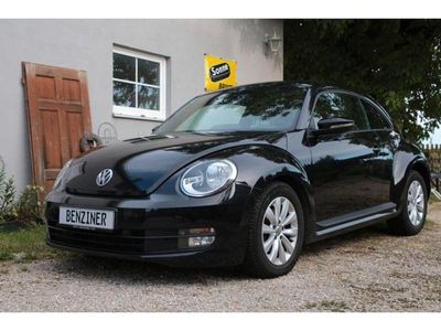 VW Beetle