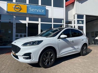 Gebraucht Ford Kuga ST-Line 152 PS (111 kW) 2024 Weiß SUV