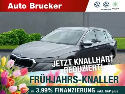 Gebraucht Skoda Octavia Scout 4x4 200 PS (147 kW) 2023 Grau Kombi