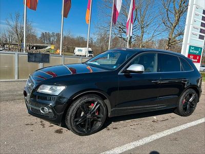 Gebraucht Audi SQ5 Competition 326 PS (239 kW) 2016 SUV