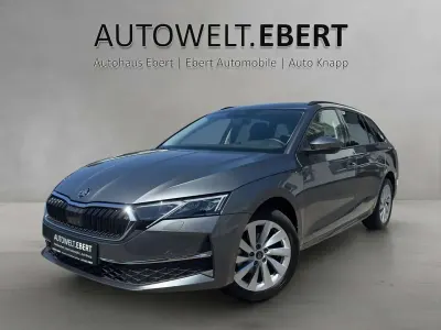 Gebraucht Skoda Octavia Selection 150 PS (110 kW) 2025 Graphitegrau Kombi