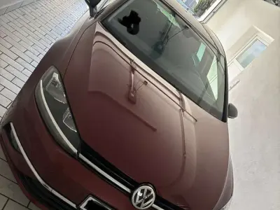 Gebraucht VW Golf VII IQ Drive 116 PS (85 kW) 2019 Kleinwagen