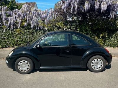 VW Beetle